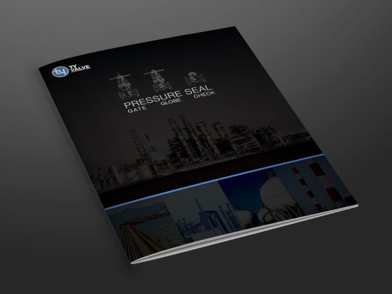 Oil and Gas Product Catalog Sales Material for TY Valve by DMW Digital